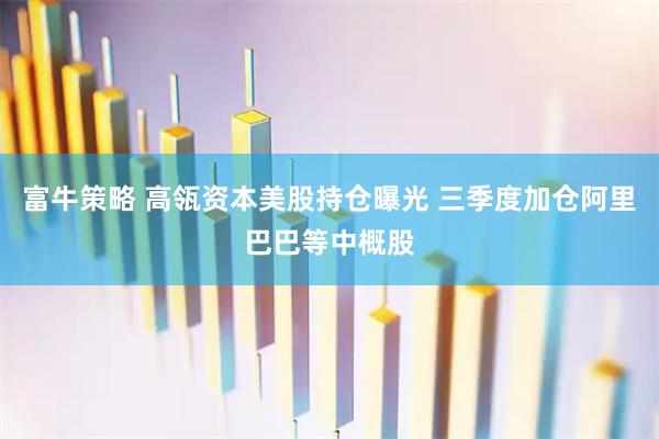 富牛策略 高瓴资本美股持仓曝光 三季度加仓阿里巴巴等中概股