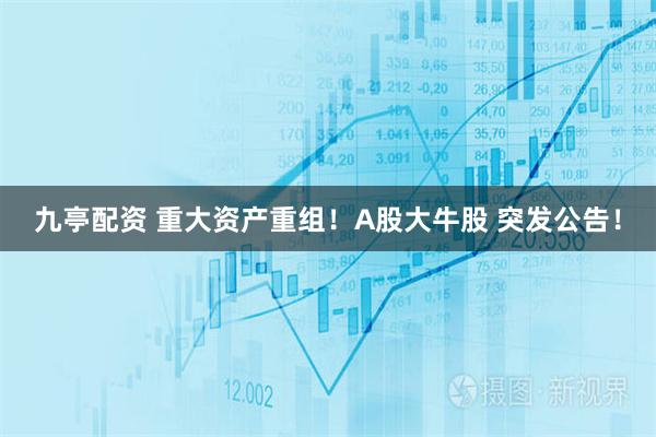 九亭配资 重大资产重组！A股大牛股 突发公告！