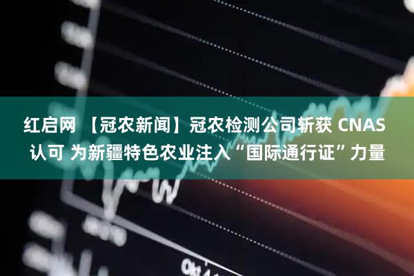 红启网 【冠农新闻】冠农检测公司斩获 CNAS 认可 为新疆特色农业注入“国际通行证”力量
